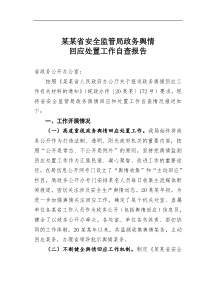 某省安全监管局政务舆情回应处置工作自查报告