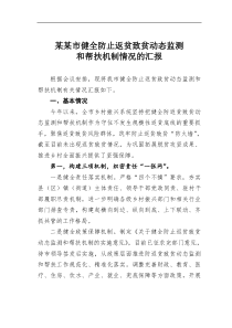 某市健全防止返贫致贫动态监测和帮扶机制情况的汇报