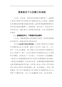 某县长个人任期工作总结