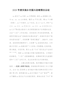 202x年度实施乡村振兴战略情况总结