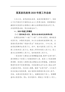 某县民政局202x年度工作总结