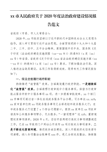 202x年度法治政府建设情况报告范文工作总结汇报