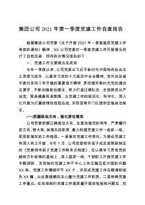 集团公司2021年第一季度党建工作自查报告