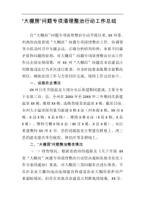 X州大棚房问题专项清理整治行动工作总结