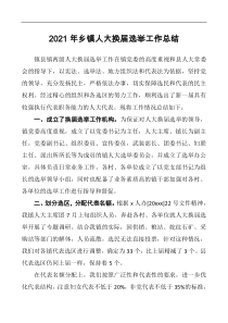 2021年乡镇人大换届选举工作总结