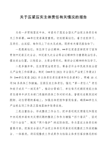 关于进一步落实全面从严治党主体责任情况的报告