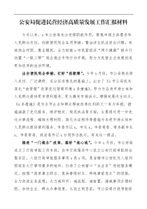 工作经验公安局促进民营经济高质量发展工作汇报材料工作总结