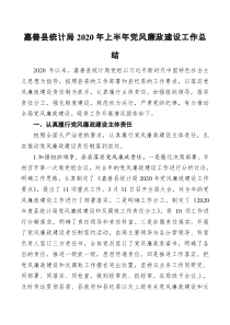 嘉善县统计局202x年上半年党风廉政建设工作总结