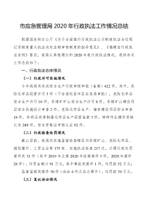 市应急管理局202x年行政执法工作情况总结
