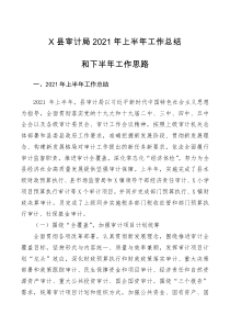 县审计局2021年上半年工作总结和下半年工作思路