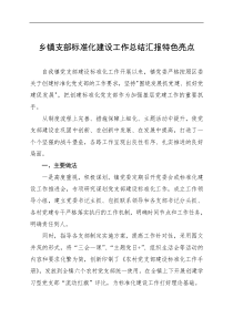 乡镇支部标准化建设工作总结汇报特色亮点