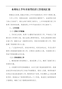 报告水利局上半年开放型经济工作情况汇报范文工作总结汇报报告