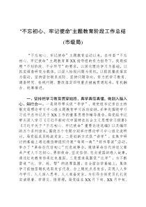 不忘初心牢记使命主题教育阶段工作总结市级局