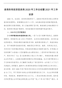 县商务和投资促进局2020年工作总结暨2021年工作安排
