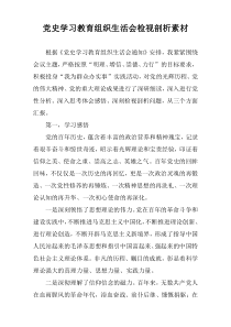 党史学习教育组织生活会检视剖析素材