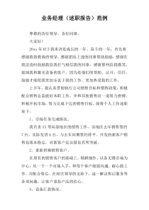 业务经理（述职报告）范例