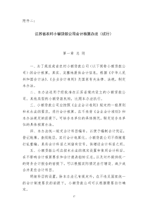 江苏省农村小额贷款公司会计核算办法试行