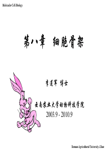 分子细胞生物学细胞骨架2