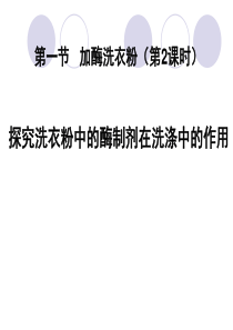 探究洗衣粉中的酶制剂在洗涤中的作用