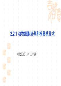 动物细胞工程221动物细胞培养和核移植技术原创