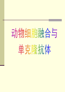 动物细胞融合与单克隆抗体上课用