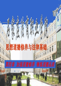 思想道德修养与法律基础第4章