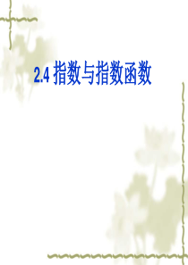 数学一轮复习专辑24指数与指数函数