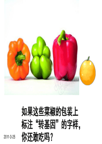 生物技术的安全性和伦理问题