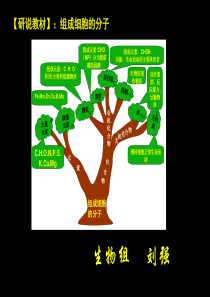 研说教材组成细胞的分子刘强