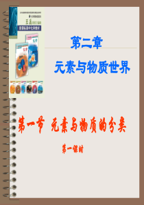 第二章第一节第一课时元素与物质的分类