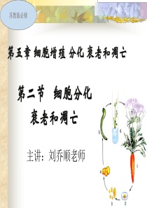 高一生物必修一第六章细胞分化衰老凋亡癌变