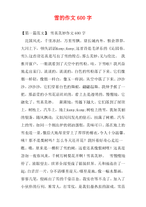 雪的作文600字