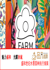 魅力盛和光耀冰城执行细案