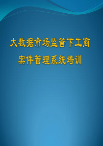 大数据市场监管下工商案件管理系统培训