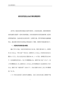 新安县民营企业运行情况调查报告