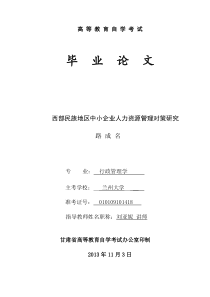 西部民族地区中小企业人力资源管理对策研究