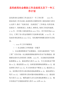 县民政局社会救助工作总结范文及下一年工作计划
