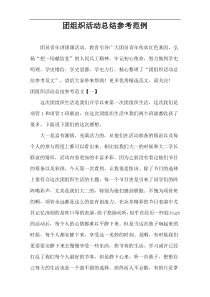 团组织活动总结参考范例