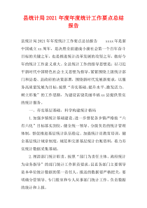 县统计局本年度统计工作要点总结报告