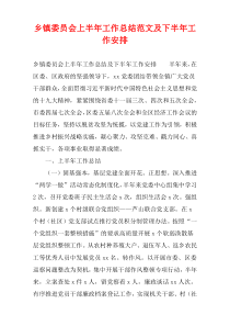 乡镇委员会上半年工作总结范文及下半年工作安排