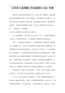 公司员工试用期工作总结范文