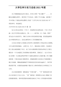大学生审计实习总结2021年度