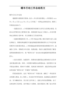 暖冬行动工作总结范文
