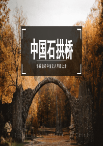 部编版初中语文八年级上册《中国石拱桥》公开课教学课件PPT模板下载