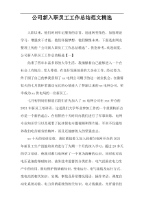 公司新入职员工工作总结范文精选