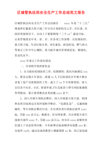 区城管执法局安全生产工作总结范文报告