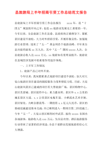 县旅游局上半年招商引资工作总结范文报告