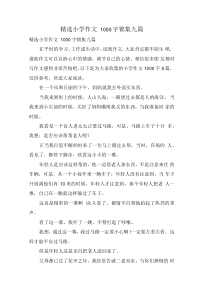 小学作文1000字合集九篇