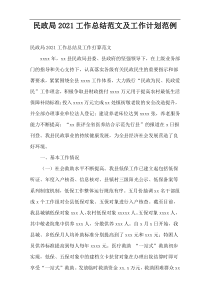 民政局工作总结范文及工作计划范例