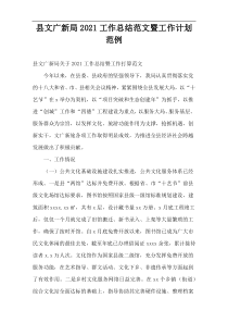 县文广新局工作总结范文暨工作计划范例